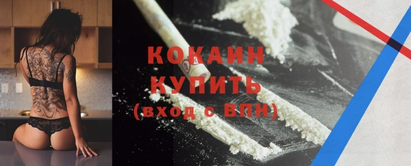 PSILOCYBIN Лабытнанги