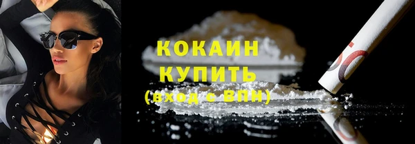 PSILOCYBIN Лабытнанги
