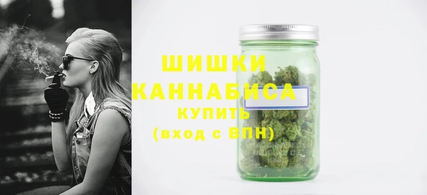 PSILOCYBIN Лабытнанги
