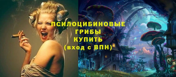PSILOCYBIN Лабытнанги