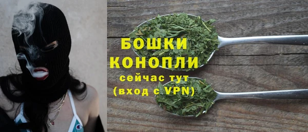 PSILOCYBIN Лабытнанги