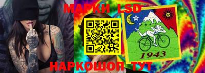 ALPHA PVP Гай