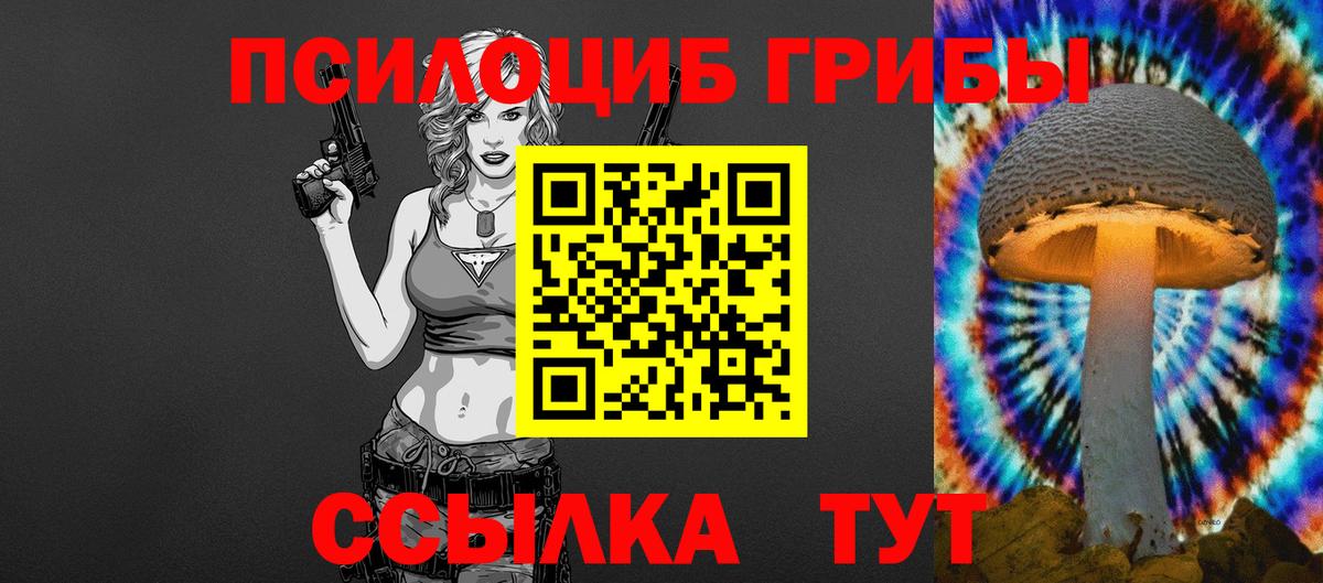 Рассказово  наркота  Вход с VPN  Псилоцибиновые грибы мухоморы 